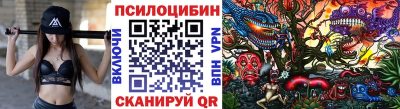 Галлюциногенные грибы MAGIC MUSHROOMS хочу наркоту Макушино